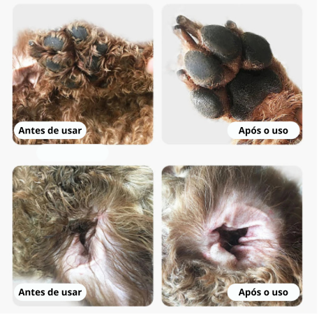 Aparador Elétrico para Cães e Gatos