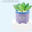 Brinquedo de Copos para Encaixe Tipo Quebra Cabeça Infantil