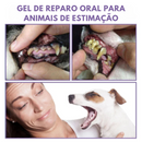 Caneta Limpadora de Dentes para Cães