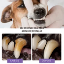 Caneta Limpadora de Dentes para Cães