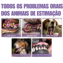 Caneta Limpadora de Dentes para Cães