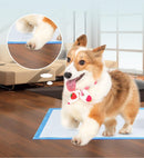 Tapete Super Absorvente para Cães