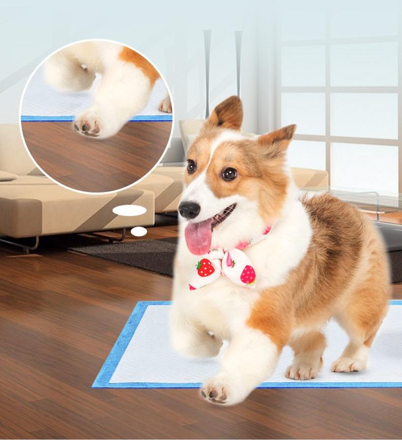 Tapete Super Absorvente para Cães